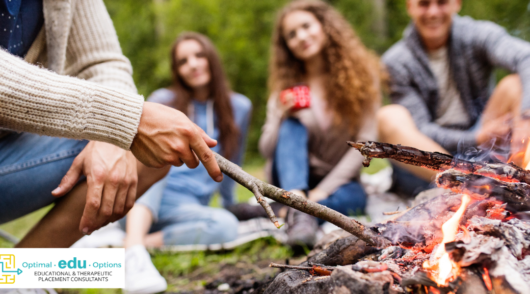 How independent educational consults guide families to choose an appropriate wilderness therapy program